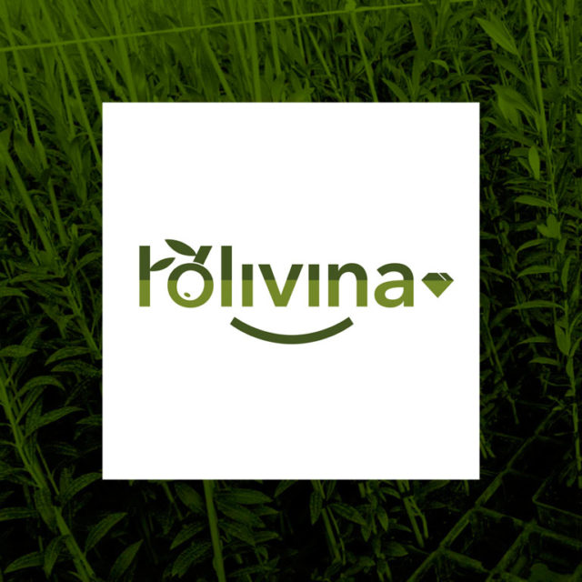 Diseño de logotipo para l'Olivina de ACUDAM