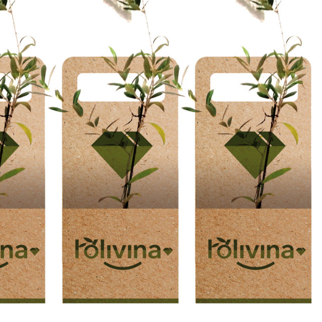 Diseño de logo y packaging para vivero frutal ACUDAM