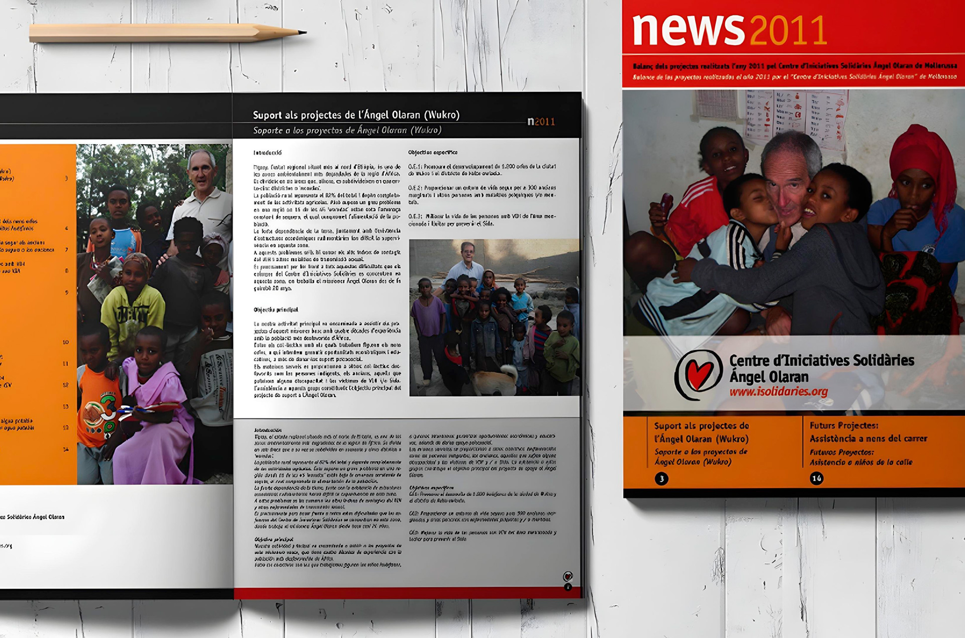 Memória Anual – Fundación Ángel Olaran